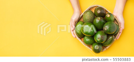 Hand holding organic avocados whole fruit in Hand holding organic avocados whole fruit in 55503883