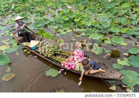 Vietnamese boy playing with mom boating the traditional wooden boat for keep the pink lotus in the big lake at thap muoi, dong thap province, vietnam, culture and life concept Vietnamese boy playing with mom boating the traditional wooden boat for keep the pink lotus in the big lake at thap muoi, dong thap province, vietnam, culture and life concept 55504075