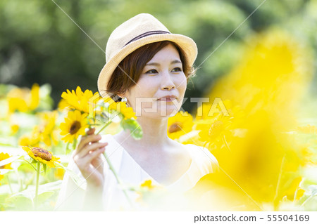 向日葵田 向日葵田 55504169