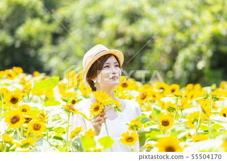 向日葵田 向日葵田 55504170
