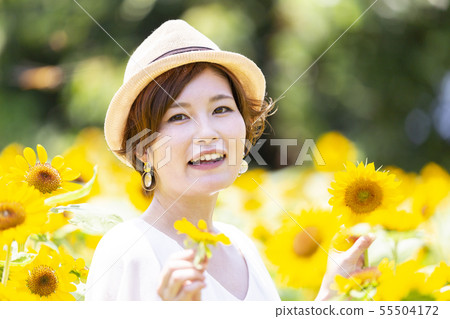 向日葵田 向日葵田 55504172