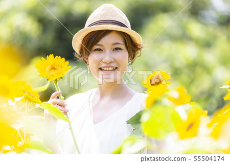向日葵田 向日葵田 55504174
