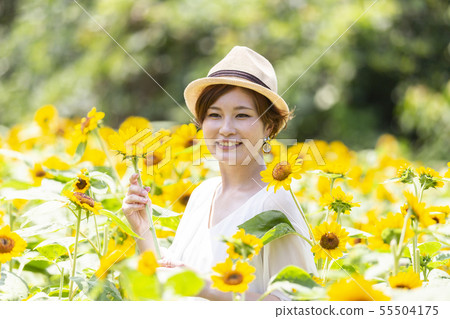 向日葵田 向日葵田 55504175