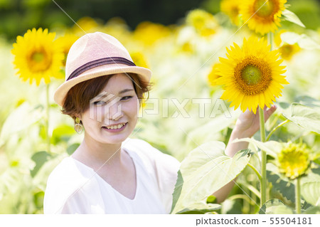 向日葵田 向日葵田 55504181