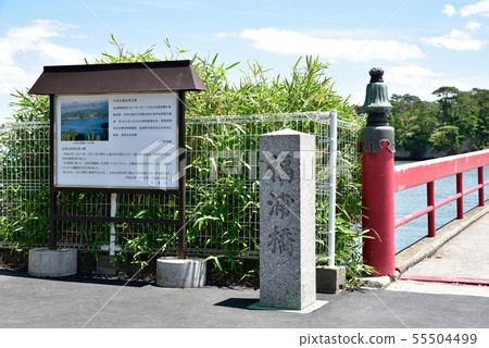 松島福島 55504499