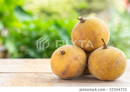 Santol tropical fruit on wooden table 55504735