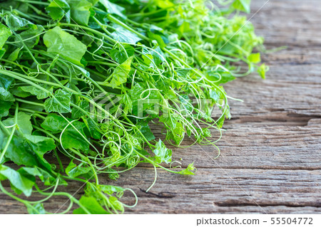 Fresh green basil leaf on wooden table background. Food concept 55504772