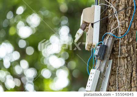 Dangerous electric cable and equipment set up on the tree Dangerous electric cable and equipment set up on the tree 55504845
