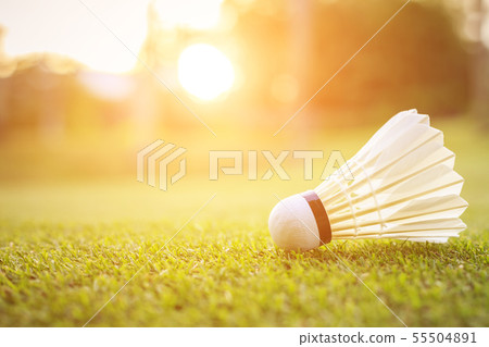 White Shuttlecock for badminton on green grass White Shuttlecock for badminton on green grass 55504891