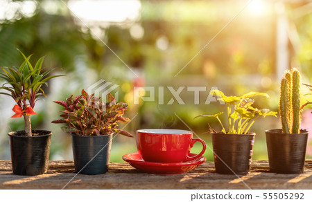 Red coffee cup on wooden table morning nature light in garden concept Red coffee cup on wooden table morning nature light in garden concept 55505292