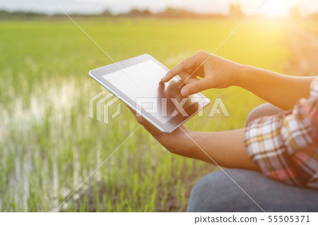 Asian young farmer using tablet at the green rice field 55505371