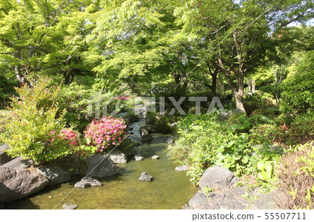 Fresh green scenery of Japanese garden in Sakai City Daisen Park Fresh green scenery of Japanese garden in Sakai City Daisen Park 55507711