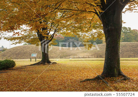 Sakitama Kofun Park 16 Sakitama Kofun Park 16 55507724