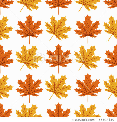 Beautiful Hand drawn Maple leaves mix with modern line in maple shape and autumn leaves element Beautiful Hand drawn Maple leaves mix with modern line in maple shape and autumn leaves element 55508139