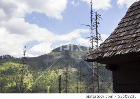 Wooden hut under Tatra mountains in Zakopane 55509233