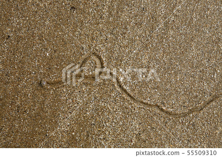 Sandy trail 55509310