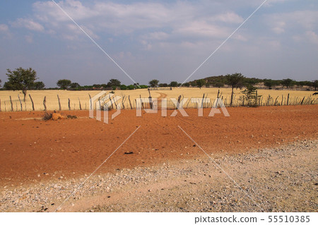 Road fom Etosha to Opuwo, Namibia in Africa 55510385