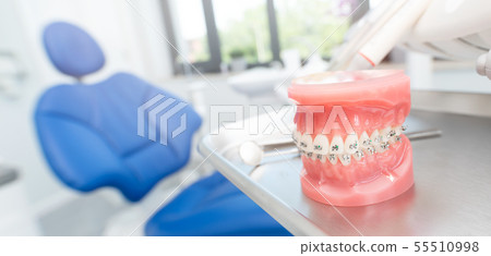 Jaw model in dentists office Jaw model in dentists office 55510998