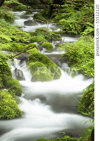 Nai Shunsui,100個最知名的選擇之一 Nai Shunsui,100個最知名的選擇之一 55512120