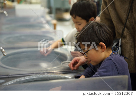 Children scraping stones Children scraping stones 55512307