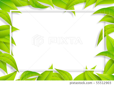 綠葉葉框架 - 新鮮綠色透明 綠葉葉框架 - 新鮮綠色透明 55512903