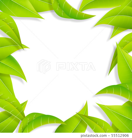 Green-leaf-leaf-frame-fresh green-png-transparent 55512906