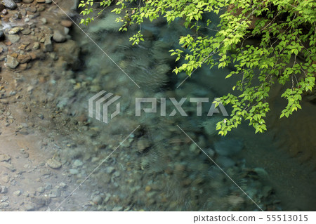 Nai Shunsui,100個最知名的選擇之一 Nai Shunsui,100個最知名的選擇之一 55513015