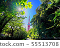 夏季東京塔 55513708