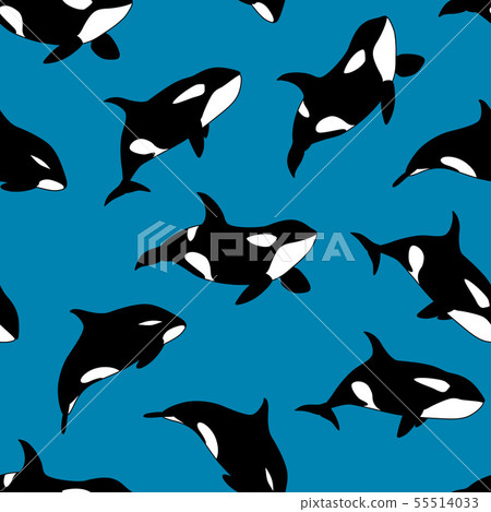 Vector seamless pattern of hand drawn killer whale - Stock Illustration ...