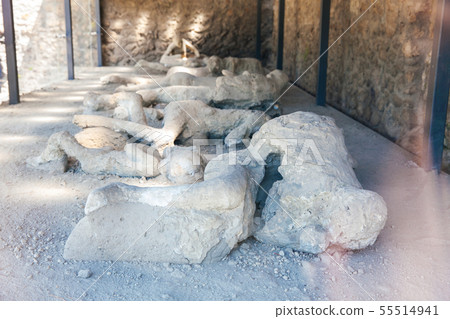 Plaster cast bodies of the victims in Pompeii 55514941