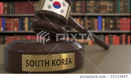 Flag of South Korea on judges gavel in court. National justice or jurisdiction related conceptual 3D 55514947