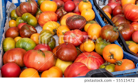 different rustic tomatoes from the market 55515472