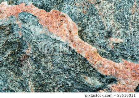 sea stone background, the texture of the stone 55516011