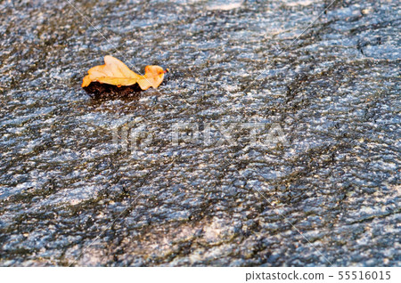 sea stone background, stone texture and yellow sea stone background, stone texture and yellow 55516015