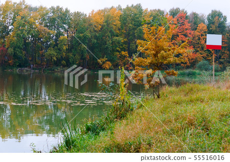 lake in the forest, autumn forest, information 55516016