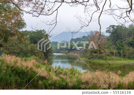 風景 Landscape 台灣 台湾 Taiwan 山上 風景 Landscape 台灣 台湾 Taiwan 山上 55516139
