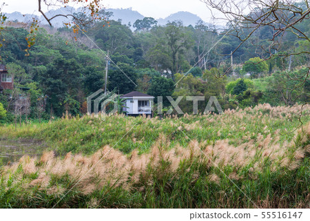 風景 Landscape 台灣 台湾 Taiwan 山上 55516147