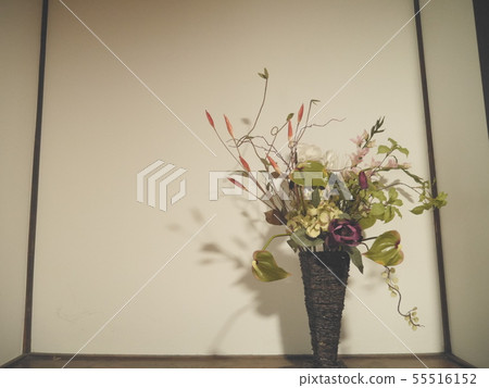 鮮花和牆壁 55516152