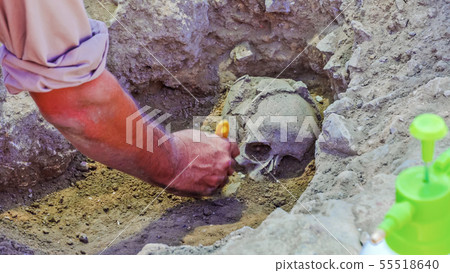 Archaeological excavation activity, skull revealed 55518640