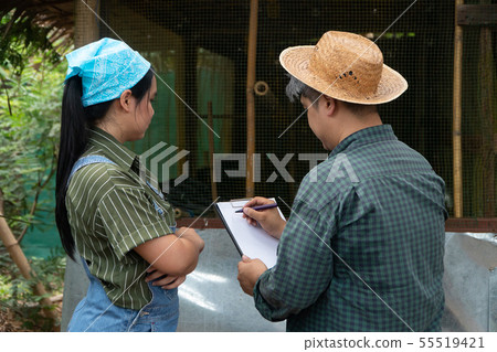 Asian Chicken Farmer is teaching and examining the Asian Chicken Farmer is teaching and examining the 55519421