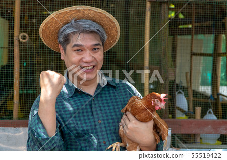 Happy organic Middle aged farmer hold chicken in Happy organic Middle aged farmer hold chicken in 55519422