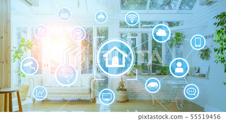 Smart House 55519456