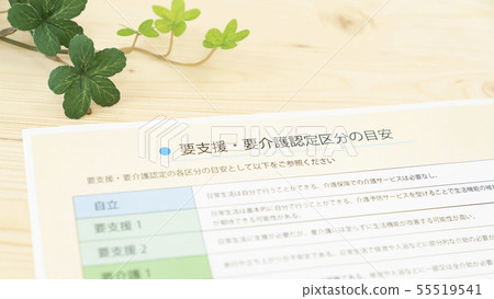 Classification requiring nursing care / support required 55519541