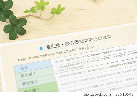 需要護理/支持的分類 需要護理/支持的分類 55519545