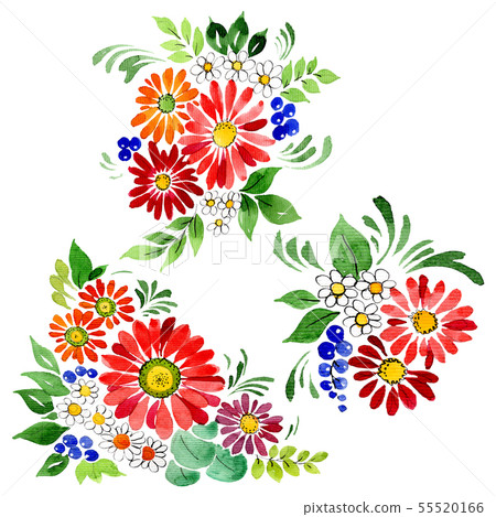 Bouquet floral botanical flowers. Watercolor background set. Isolated bouquets illustration element. Bouquet floral botanical flowers. Watercolor background set. Isolated bouquets illustration element. 55520166