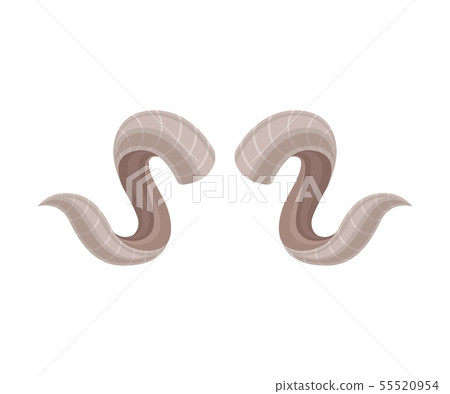 Curved horns of a ram. Vector illustration on white background. Curved horns of a ram. Vector illustration on white background. 55520954