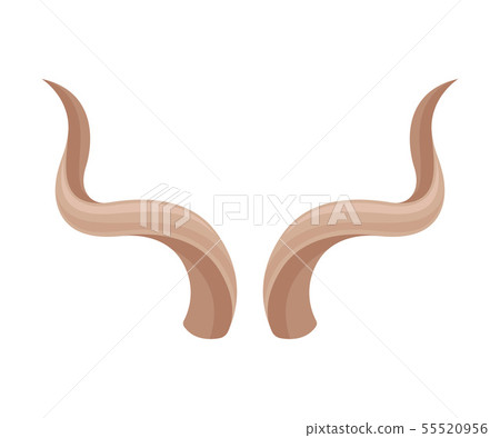 Pair of antelope horns. Vector illustration on white background. 55520956