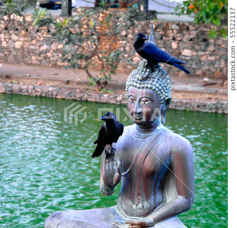 Buddha statues in Seema Malaka temple, Colombo, 55522137