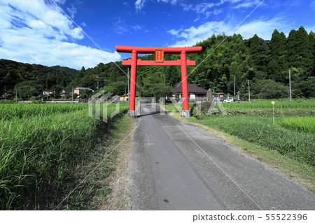 Haneda Shrine Haneda Shrine 55522396