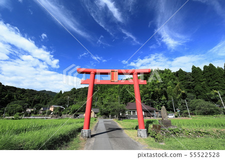 Haneda Shrine Haneda Shrine 55522528